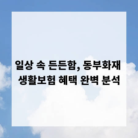 일상 속 든든함, 동부화재 생활보험 혜택 완벽 분석