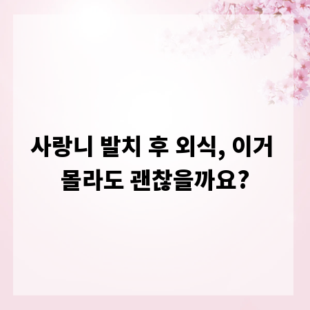 사랑니 발치 후 외식, 이거 몰라도 괜찮을까요?