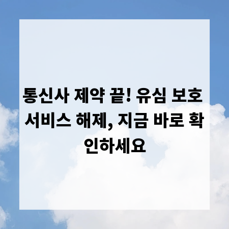 통신사 제약 끝! 유심 보호 서비스 해제, 지금 바로 확인하세요