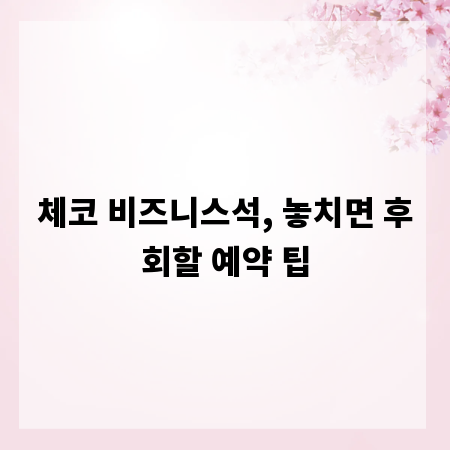 체코 비즈니스석, 놓치면 후회할 예약 팁