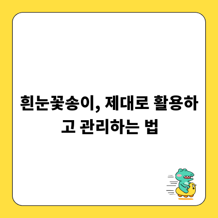 흰눈꽃송이, 제대로 활용하고 관리하는 법