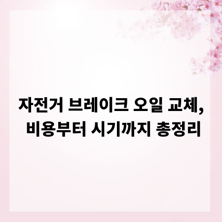 자전거 브레이크 오일 교체, 비용부터 시기까지 총정리