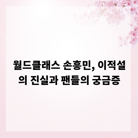 월드클래스 손흥민, 이적설의 진실과 팬들의 궁금증