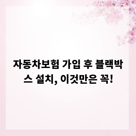 자동차보험 가입 후 블랙박스 설치, 이것만은 꼭!