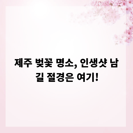 제주 벚꽃 명소, 인생샷 남길 절경은 여기!