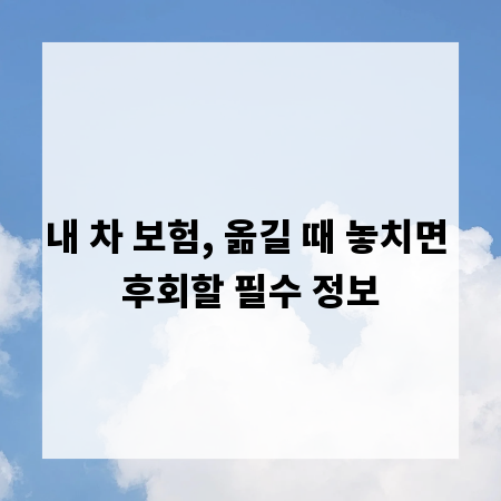 내 차 보험, 옮길 때 놓치면 후회할 필수 정보