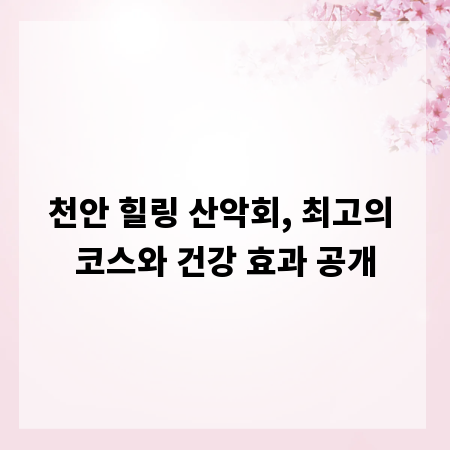 천안 힐링 산악회, 최고의 코스와 건강 효과 공개