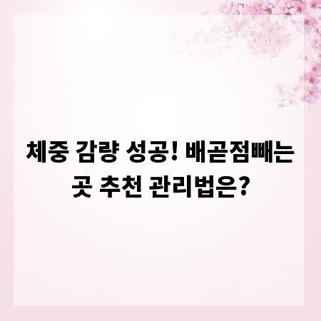 체중 감량 성공! 배곧점빼는곳 추천 관리법은?