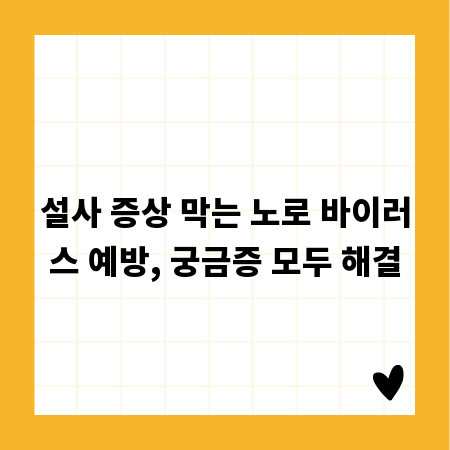 설사 증상 막는 노로 바이러스 예방, 궁금증 모두 해결