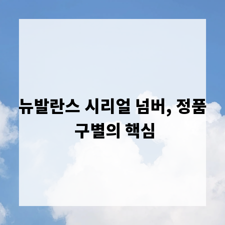 뉴발란스 시리얼 넘버, 정품 구별의 핵심