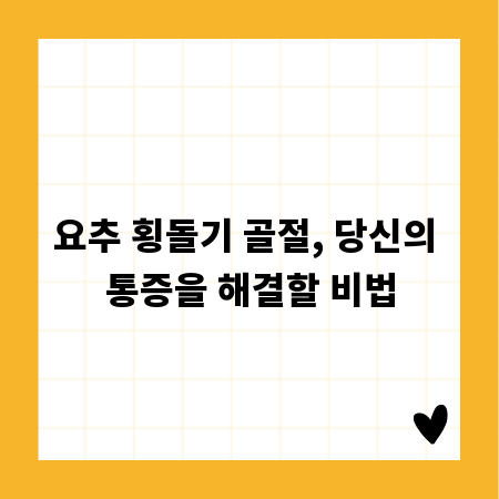 요추 횡돌기 골절, 당신의 통증을 해결할 비법