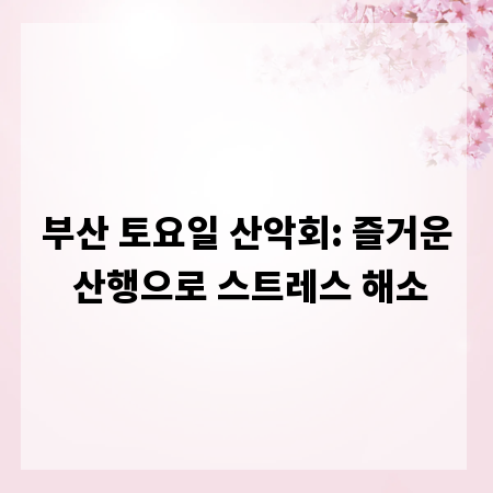 부산 토요일 산악회: 즐거운 산행으로 스트레스 해소