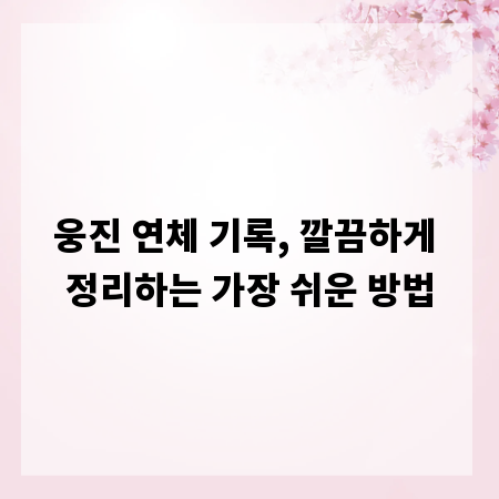 웅진 연체 기록, 깔끔하게 정리하는 가장 쉬운 방법