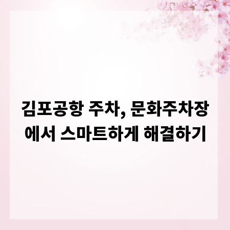 김포공항 주차, 문화주차장에서 스마트하게 해결하기