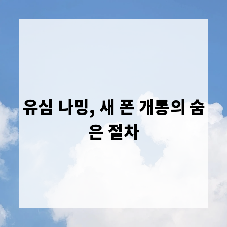 유심 나밍, 새 폰 개통의 숨은 절차