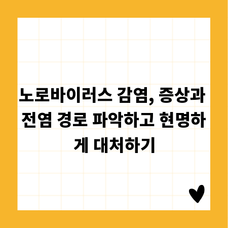 노로바이러스 감염, 증상과 전염 경로 파악하고 현명하게 대처하기