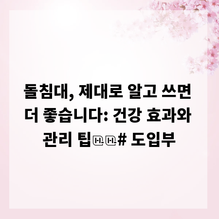 돌침대, 제대로 알고 쓰면 더 좋습니다: 건강 효과와 관리 팁

# 도입부