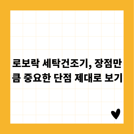 로보락 세탁건조기, 장점만큼 중요한 단점 제대로 보기