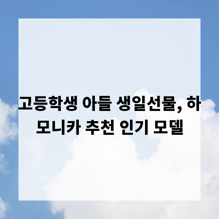 고등학생 아들 생일선물, 하모니카 추천 인기 모델