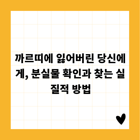 까르띠에 잃어버린 당신에게, 분실물 확인과 찾는 실질적 방법