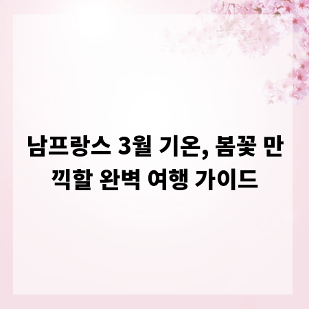 남프랑스 3월 기온, 봄꽃 만끽할 완벽 여행 가이드