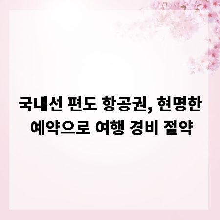 국내선 편도 항공권, 현명한 예약으로 여행 경비 절약