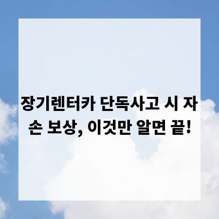 장기렌터카 단독사고 시 자손 보상, 이것만 알면 끝!
