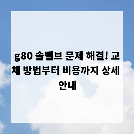 g80 솔밸브 문제 해결! 교체 방법부터 비용까지 상세 안내