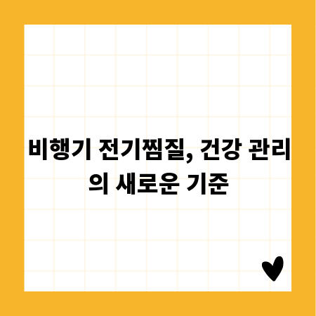 비행기 전기찜질, 건강 관리의 새로운 기준