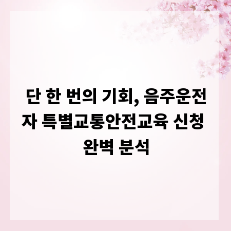 단 한 번의 기회, 음주운전자 특별교통안전교육 신청 완벽 분석