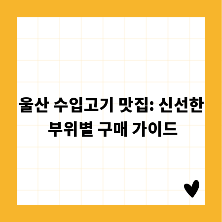 울산 수입고기 맛집: 신선한 부위별 구매 가이드