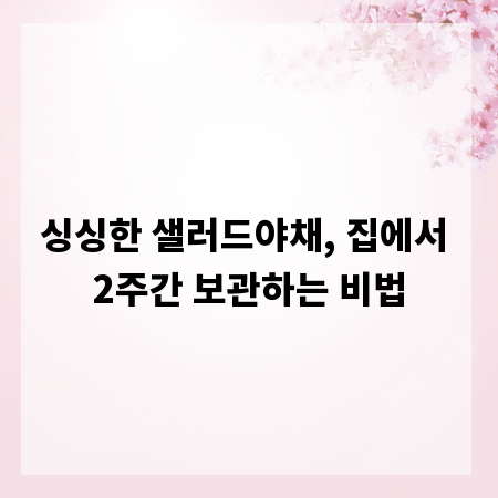 싱싱한 샐러드야채, 집에서 2주간 보관하는 비법