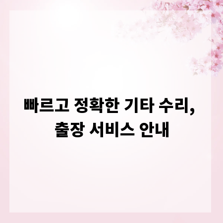빠르고 정확한 기타 수리, 출장 서비스 안내