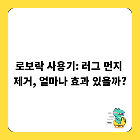 로보락 사용기: 러그 먼지 제거, 얼마나 효과 있을까?