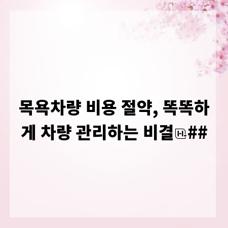 목욕차량 비용 절약, 똑똑하게 차량 관리하는 비결
##