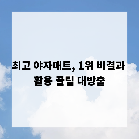 최고 야자매트, 1위 비결과 활용 꿀팁 대방출