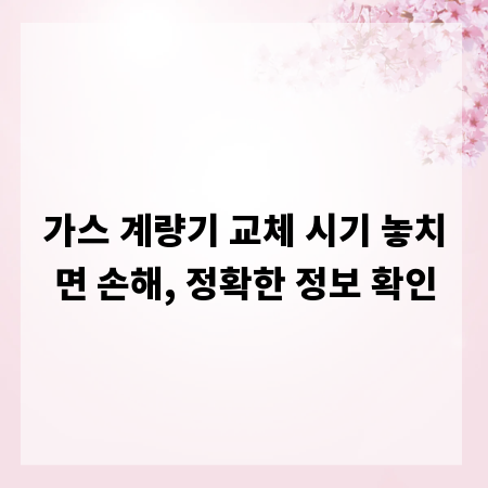 가스 계량기 교체 시기 놓치면 손해, 정확한 정보 확인