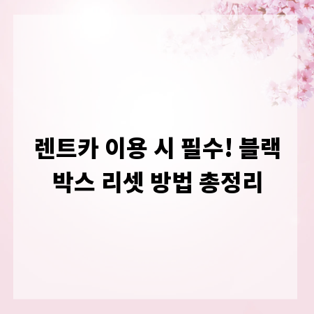 렌트카 이용 시 필수! 블랙박스 리셋 방법 총정리