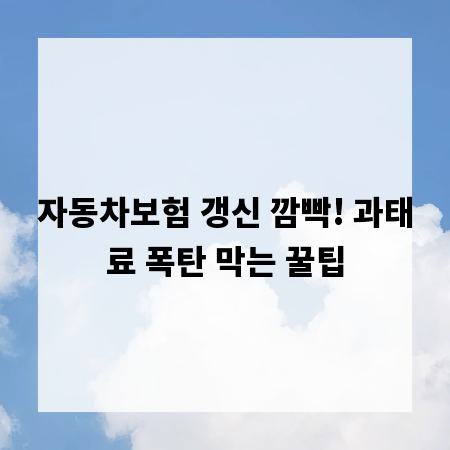 자동차보험 갱신 깜빡! 과태료 폭탄 막는 꿀팁
