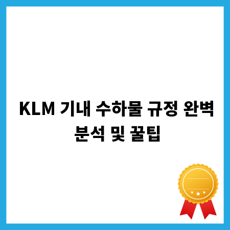KLM 기내 수하물 규정 완벽 분석 및 꿀팁