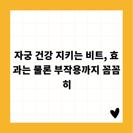 자궁 건강 지키는 비트, 효과는 물론 부작용까지 꼼꼼히