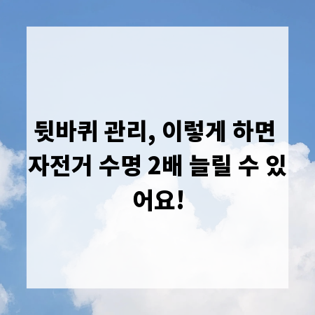 뒷바퀴 관리, 이렇게 하면 자전거 수명 2배 늘릴 수 있어요!