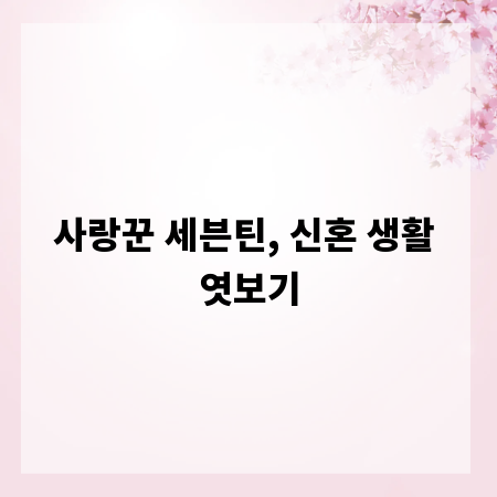 사랑꾼 세븐틴, 신혼 생활 엿보기