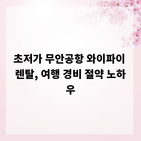 초저가 무안공항 와이파이 렌탈, 여행 경비 절약 노하우
