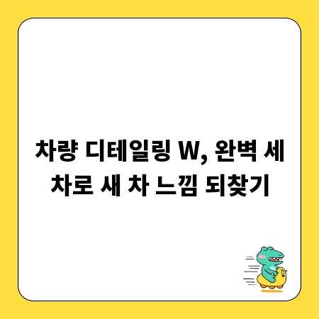 차량 디테일링 W, 완벽 세차로 새 차 느낌 되찾기