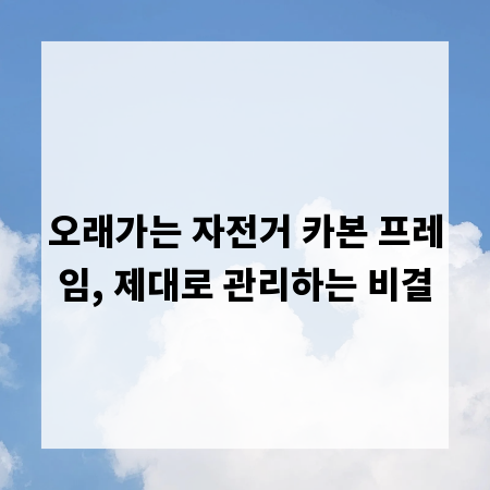 오래가는 자전거 카본 프레임, 제대로 관리하는 비결