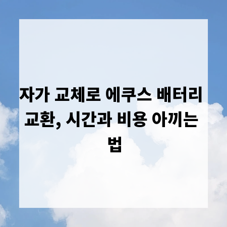 자가 교체로 에쿠스 배터리 교환, 시간과 비용 아끼는 법