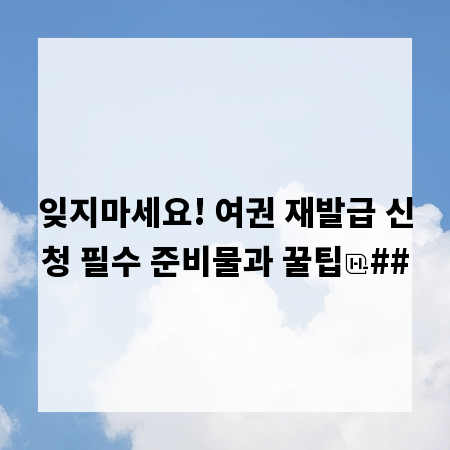 잊지마세요! 여권 재발급 신청 필수 준비물과 꿀팁
##