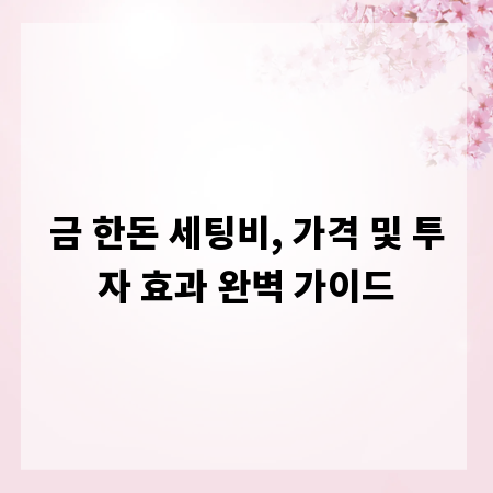 금 한돈 세팅비, 가격 및 투자 효과 완벽 가이드