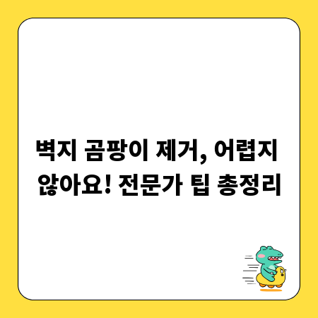 벽지 곰팡이 제거, 어렵지 않아요! 전문가 팁 총정리